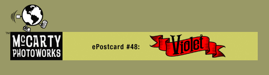 ePostcard #48