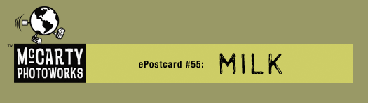 ePostcard #55
