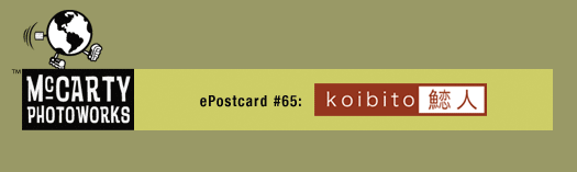 ePostcard #65